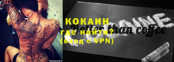 ПСИЛОЦИБИНОВЫЕ ГРИБЫ Михайлов