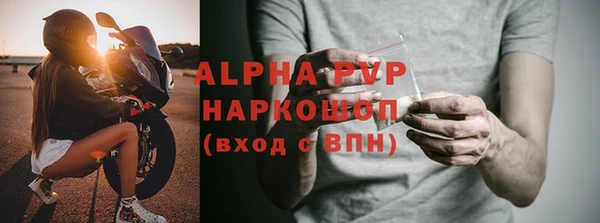ПСИЛОЦИБИНОВЫЕ ГРИБЫ Михайлов