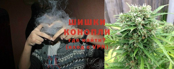 ПСИЛОЦИБИНОВЫЕ ГРИБЫ Михайлов