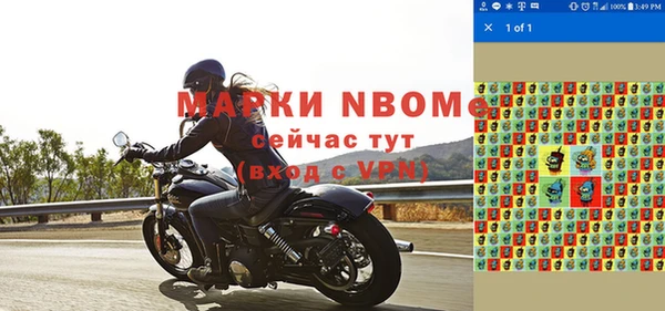 гашик Надым