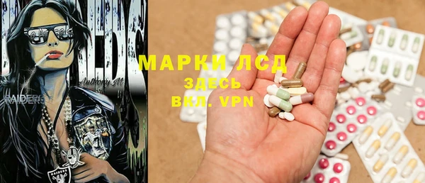 гашик Надым