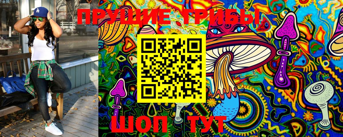 Галлюциногенные грибы мицелий  Усть-Кут  Псилоцибиновые грибы Psilocybine cubensis 